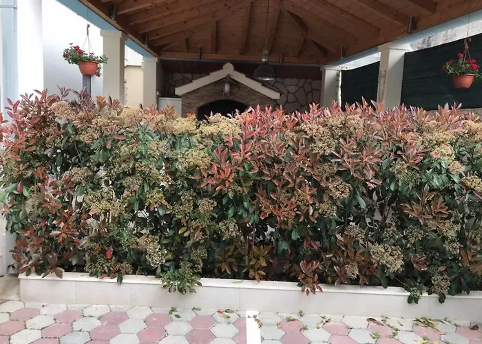 Mane Apartman Trogir