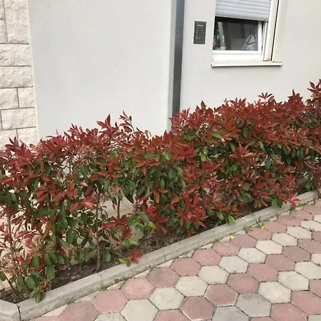 Apartmani Mane Trogir