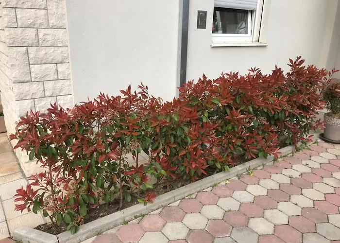 Apartmani Mane Trogir